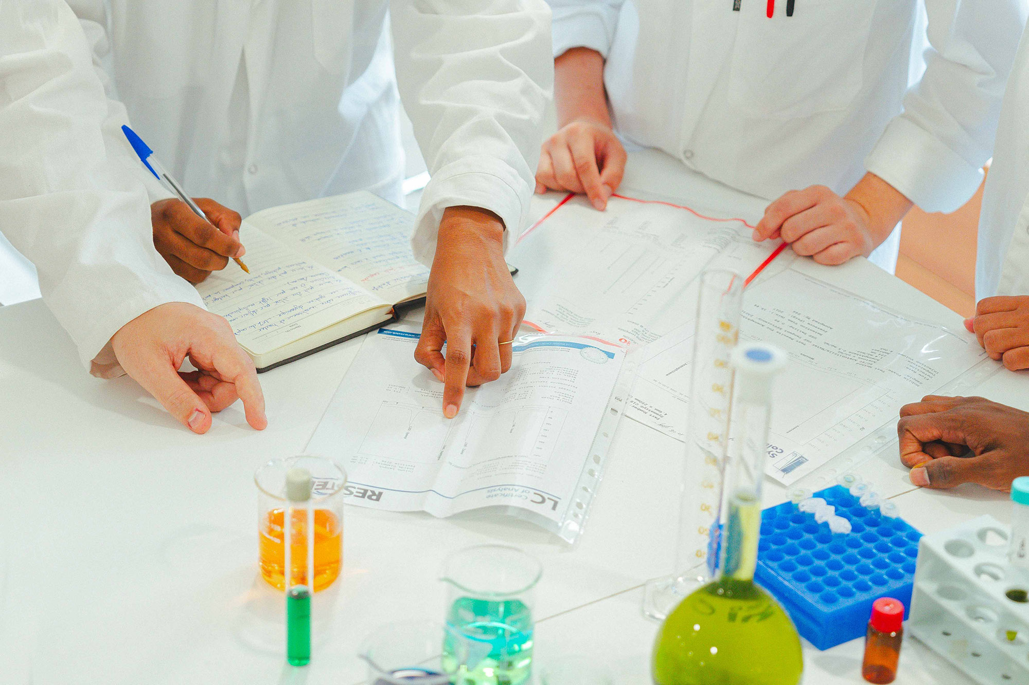 Formation phytothérapie pour professionnels de santé