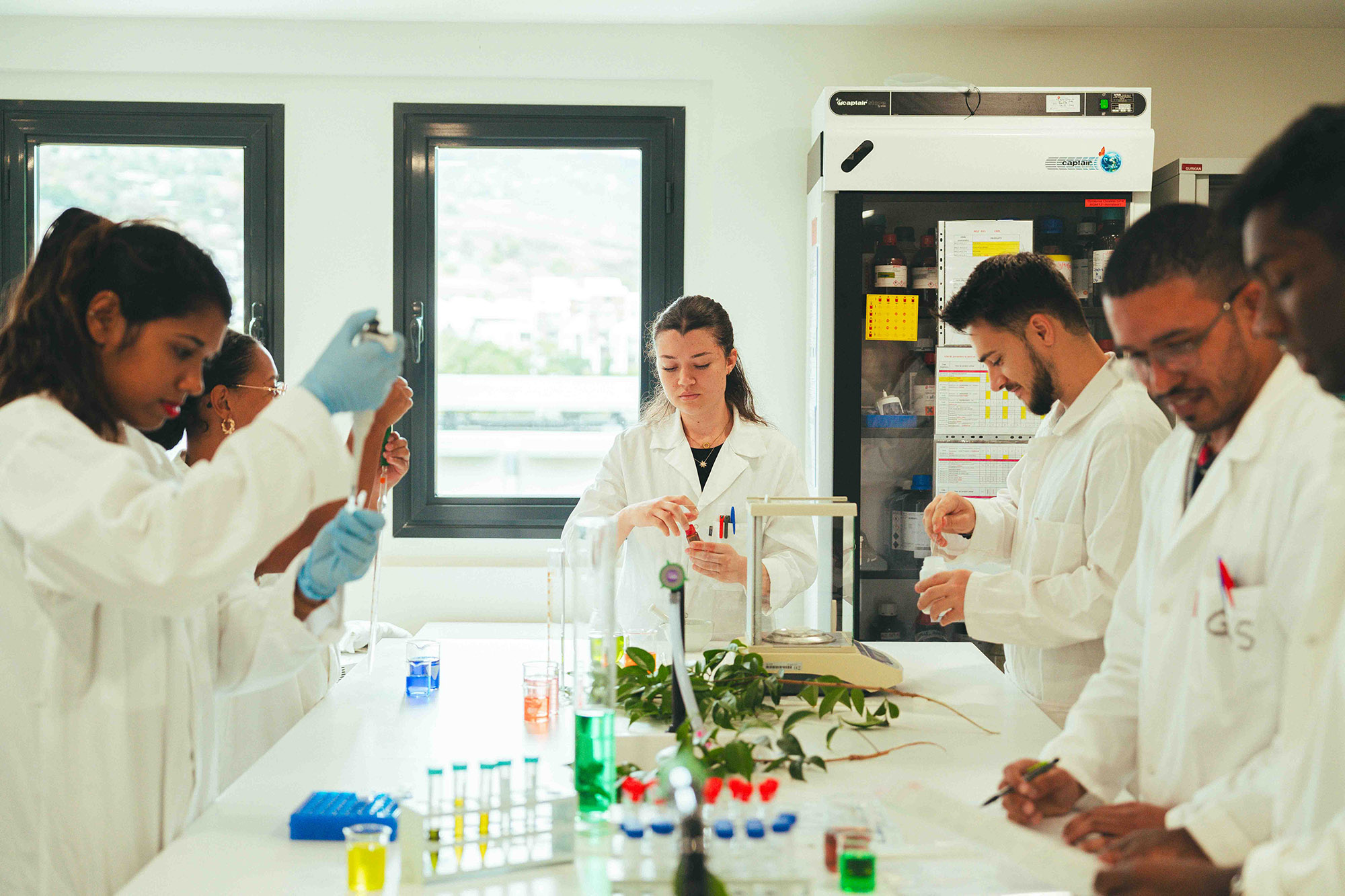 Module de formation 2 : Le conseil en phytothérapie