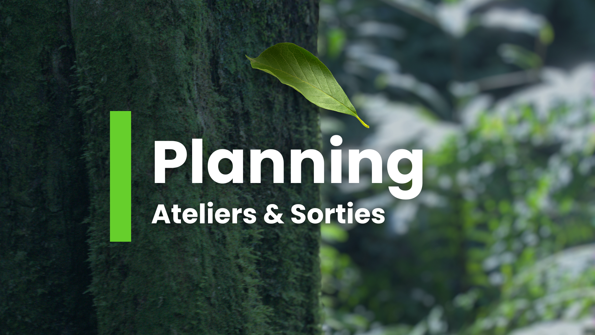 Planning des Ateliers